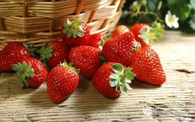 冬天有草莓采摘吗「银川冬天草莓采摘园哪个好」