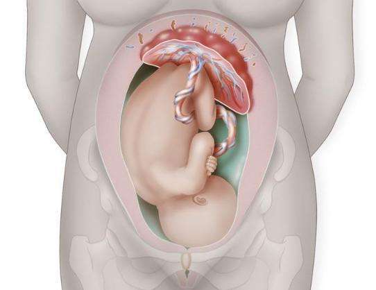 胎儿多少周入盆？