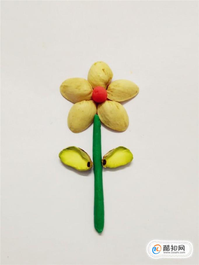 怎么用开心果壳制作漂亮的花儿