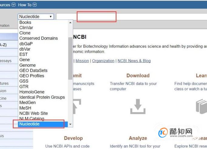 怎样使用NCBI搜索并下载基因序列