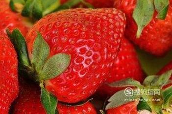 家庭阳台如何种草莓？