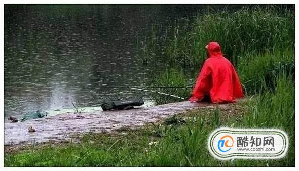 钓鱼技巧之不同季节的雨天如何钓鱼