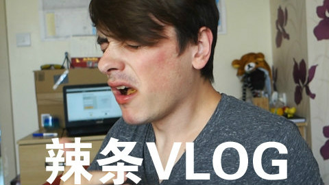 vlog是什么意思？