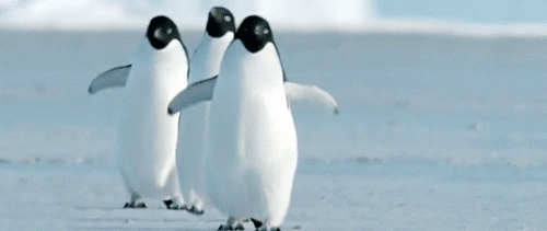 企鹅为什么生活在南极？