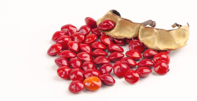 红豆为什么叫相思豆呢？