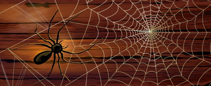 蜘蛛为什么不会被网粘住？