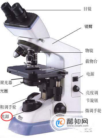 显微镜的部分名称及作用