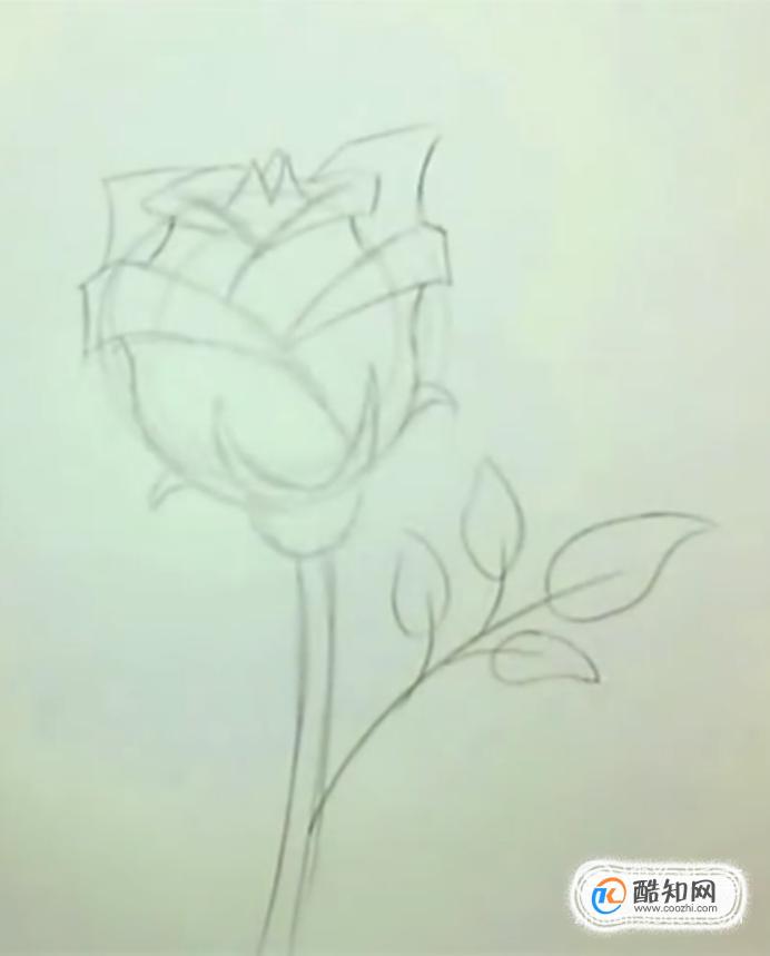 如何用铅笔画一朵玫瑰花？