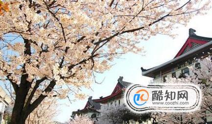 南京鸡鸣寺赏樱花有哪些值得注意的？