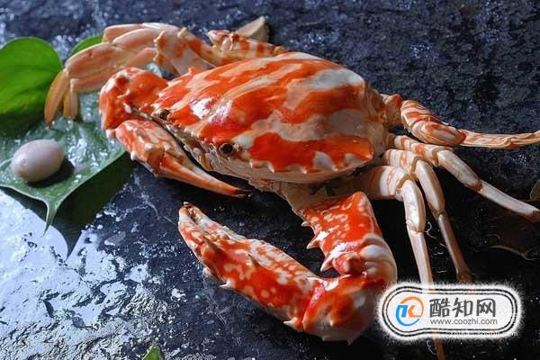 螃蟹种类你知道多少？