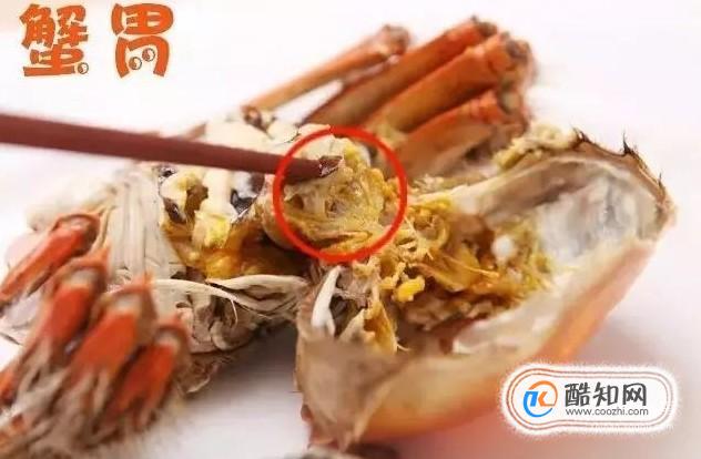 螃蟹不能和什么一起吃，吃螃蟹有什么禁忌