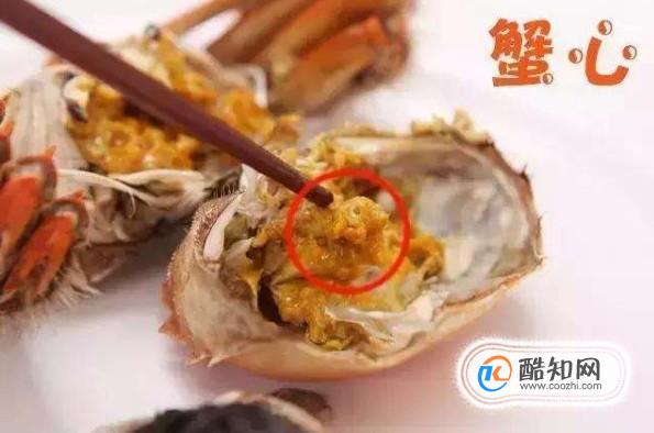 螃蟹不能和什么一起吃，吃螃蟹有什么禁忌
