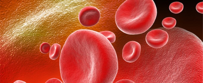 血浆和血液的区别是什么？
