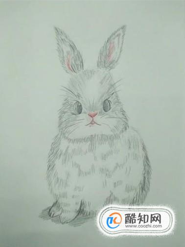 怎样画出一个可爱的小兔子