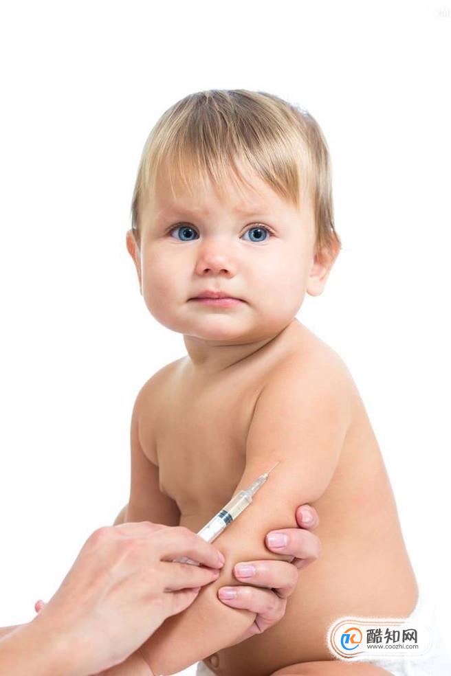 怎样查询疫苗批次？
